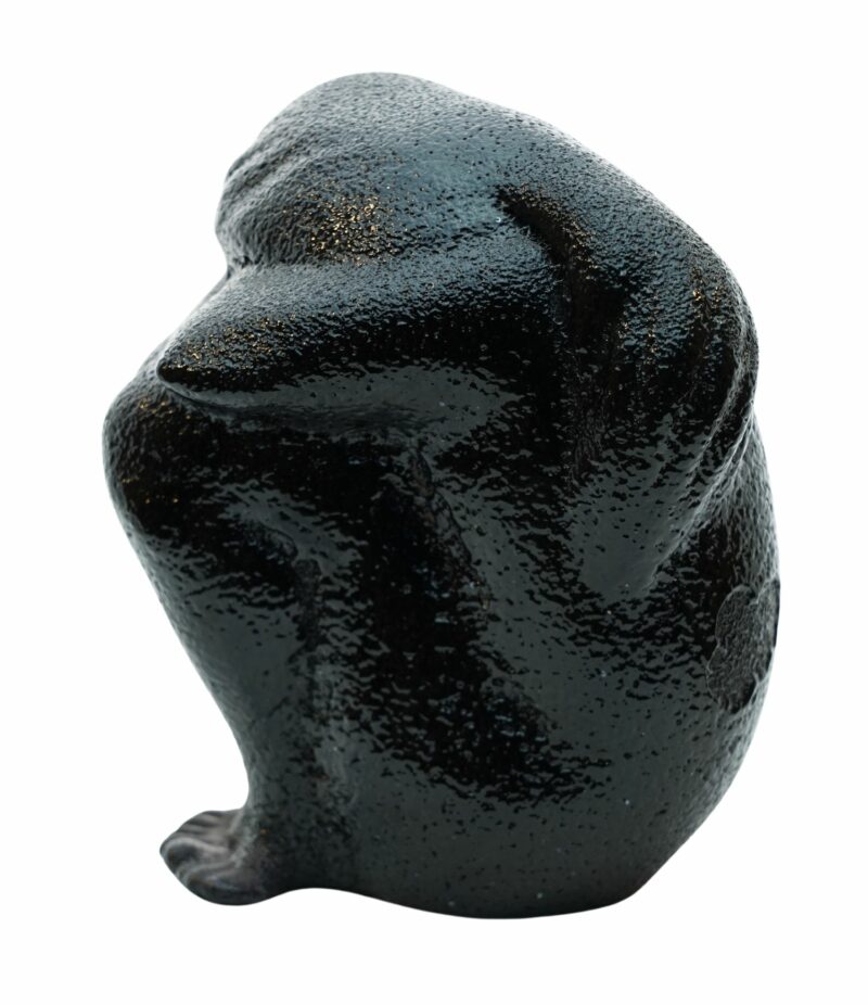Scultura vergogna nera - immagine 2