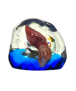 ACQUARIO CON SEPPIA - ABATE ZANETTI