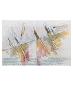STUDY FOR THOUGHT BONES FROM BETWEEN THE FINGER OF FEAR — DENNIS OPPENHEIM